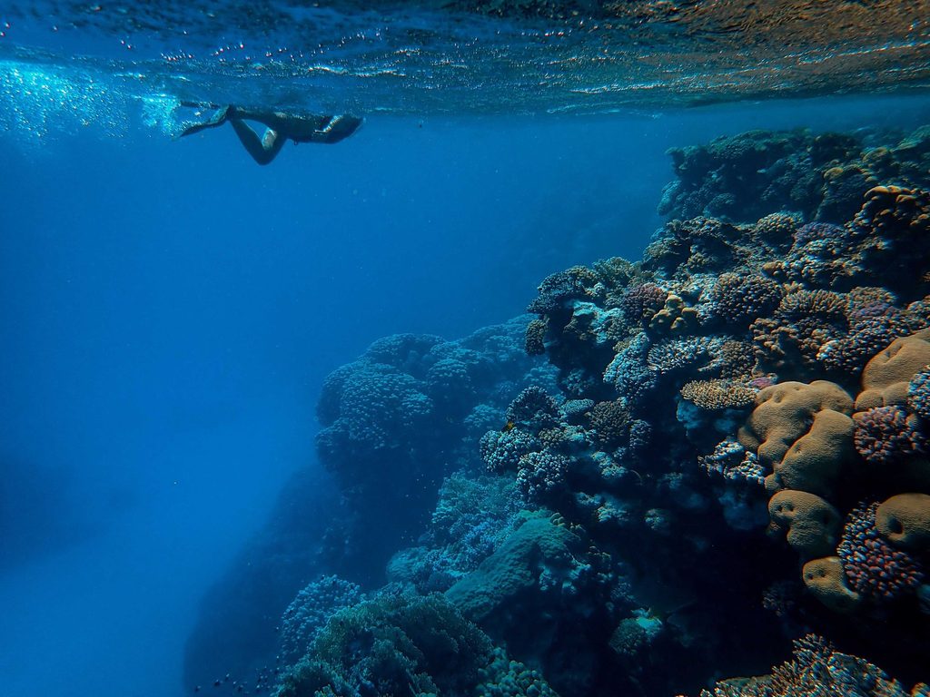 Snorkeling au-dessus d'un récif de corail, l'activité phare de Hurghada