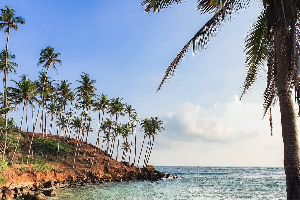 Colline aux cocotiers de Mirissa au bord de l'océan Indien, sur la côte sud du Sri Lanka